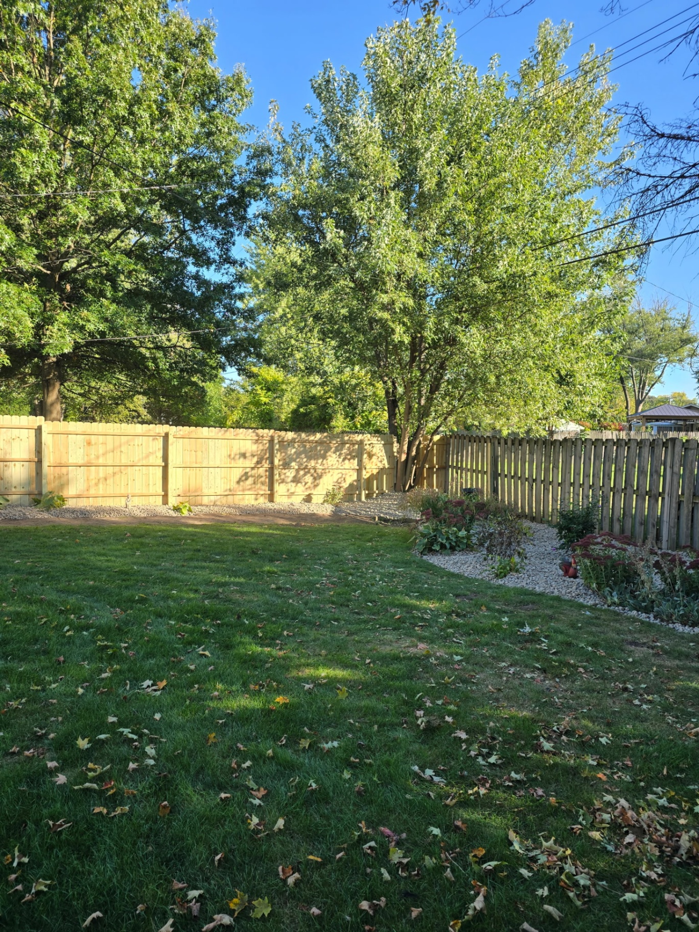 Wood Privacy & Shadowbox Fence
