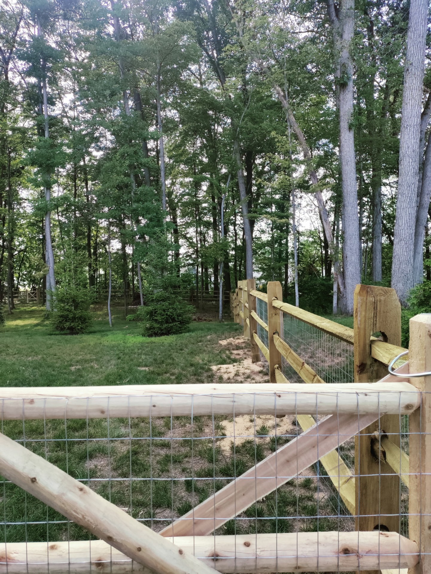 Split Rail with Wire Mesh