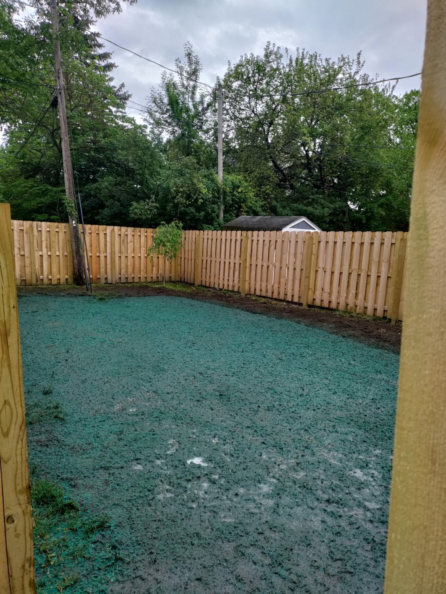Shadowbox Fence & Hydroseed Lawn
